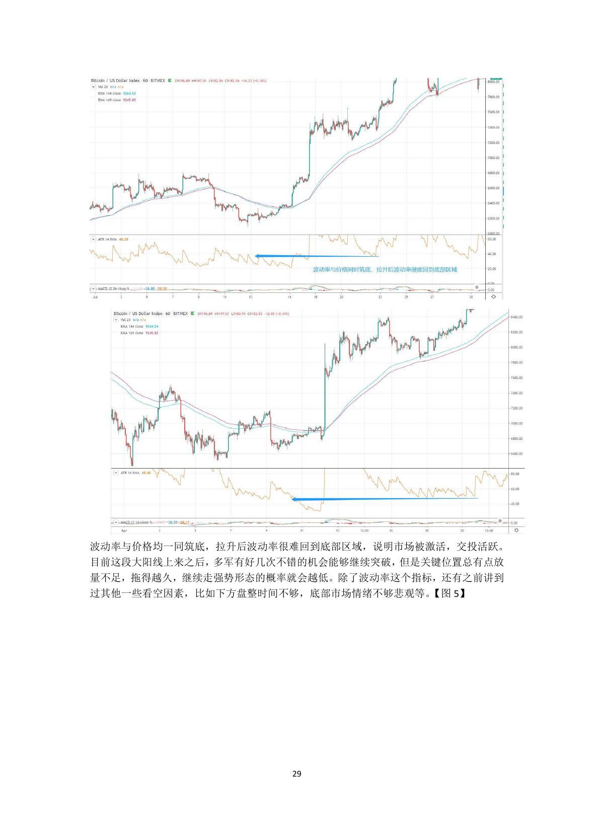 callmepope语录第 31 页